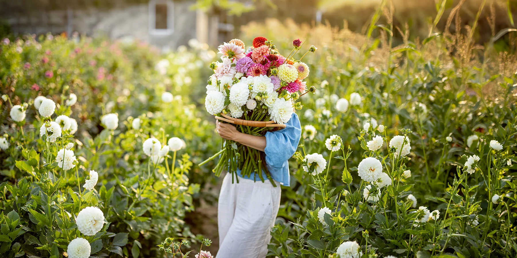 Sublimez votre jardin avec Bakker